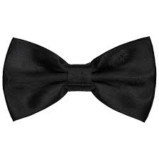 Silk Bow Tie